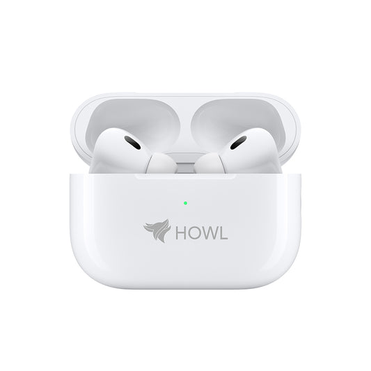 HOPODS ENC TWS (HW - 110)